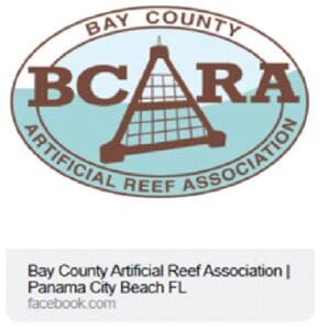 Bcara