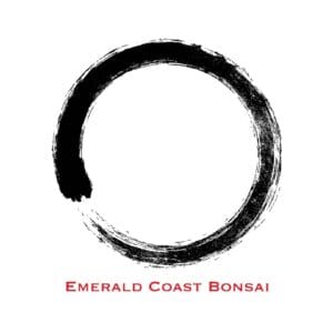 Emerald Coast Bonsai Logo 2pdf