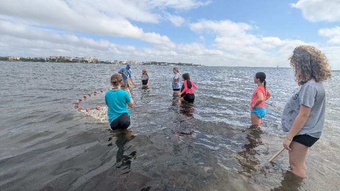 Surfside School 151649490