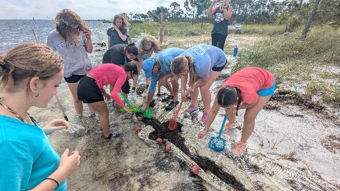 Surfside School 151846195